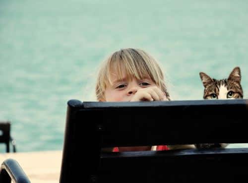 Bambina e gatto spiaggia