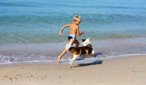 bambino che corre sulla spiaggia con il proprio cane