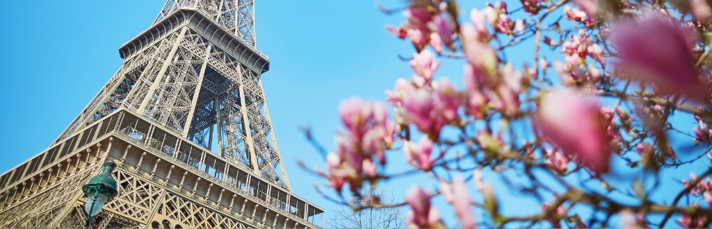 Primavera a Parigi - Torre Eiffel