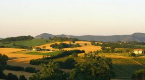 Landscape delle colline verdi dell' Umbria